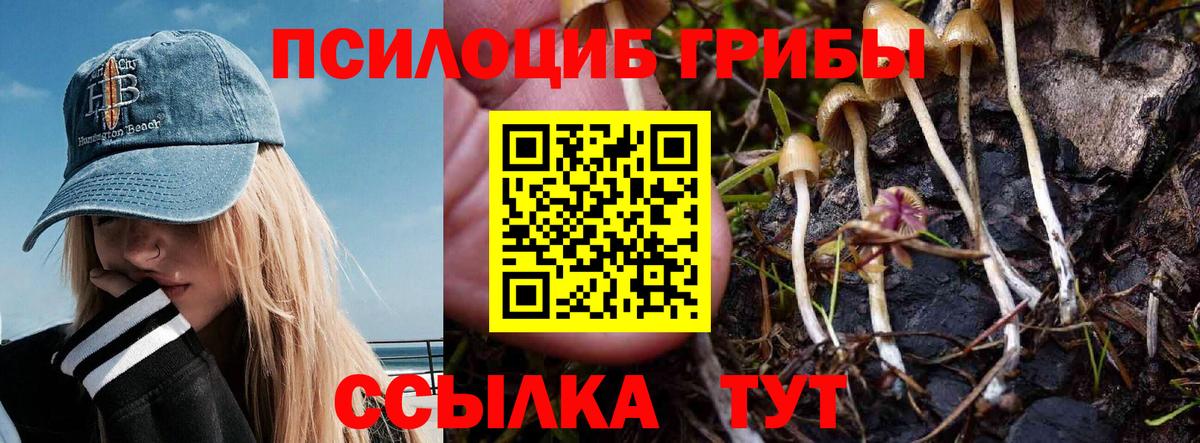Псилоцибиновые грибы MAGIC MUSHROOMS Саянск